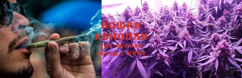 omg вход  Агрыз  Конопля White Widow 